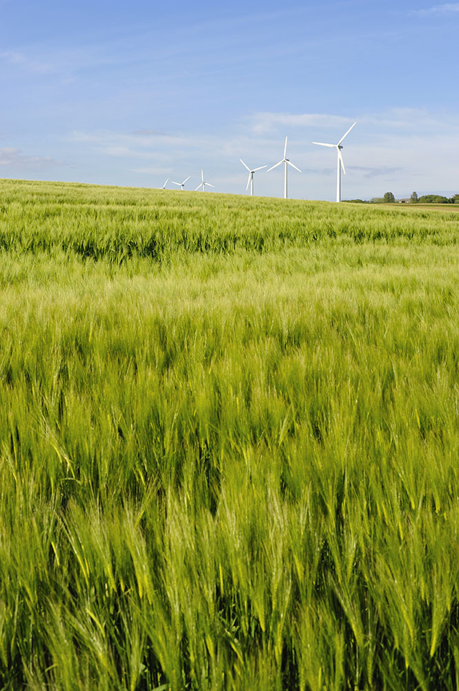 29+ Denmark Agriculture Export PNG