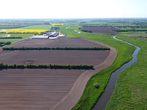 Ribe-Cluster Ribe Cluster