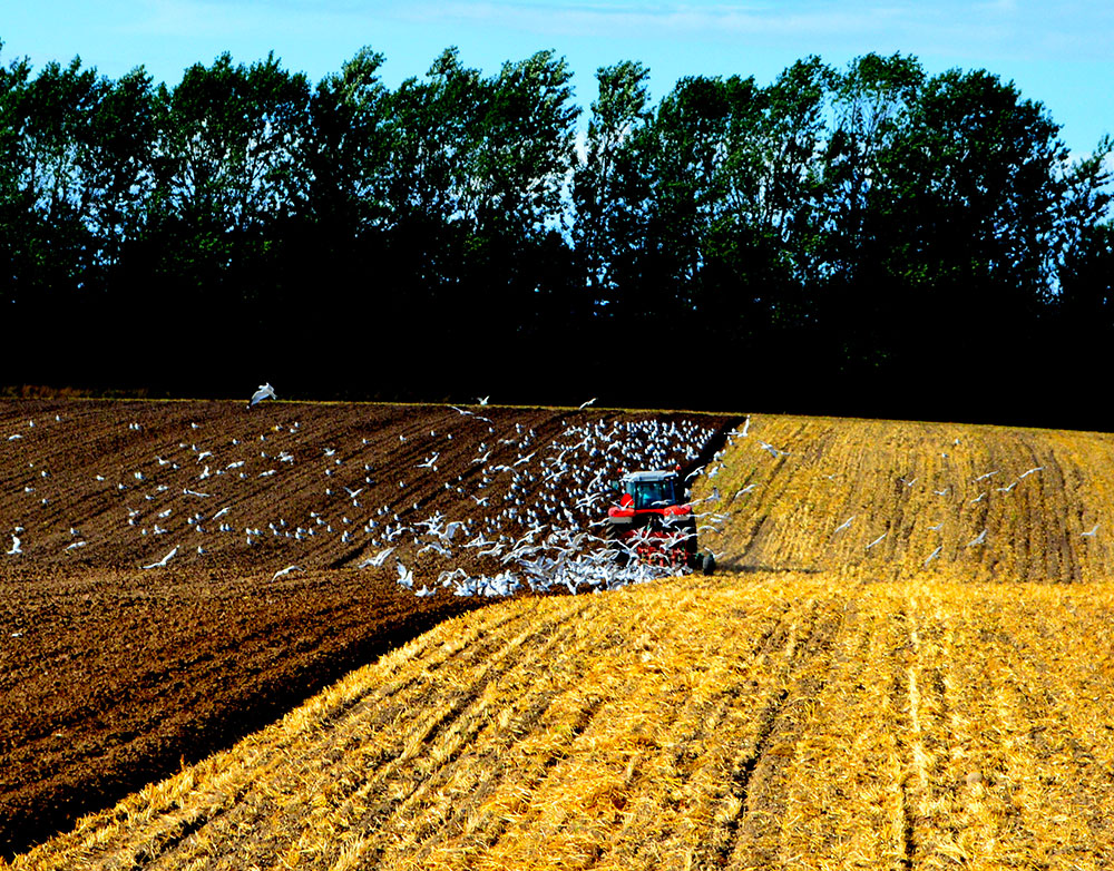 Danish farmland investment doubled - FarmCompany