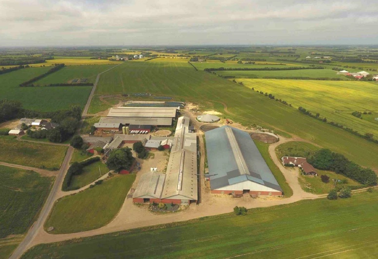 Acquisition Of Danish Dairy Farm With 545 Hectares Farmcompany