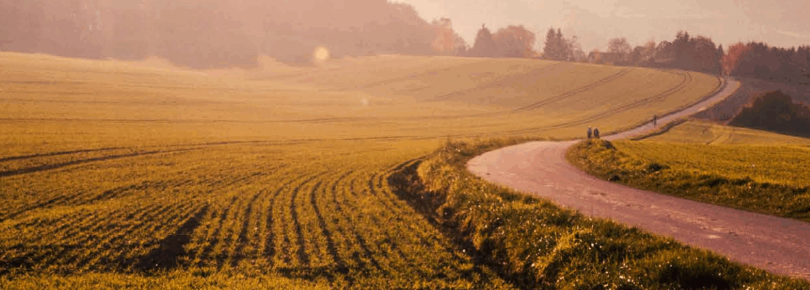 Photo of fields. Sunlight from the left corner.