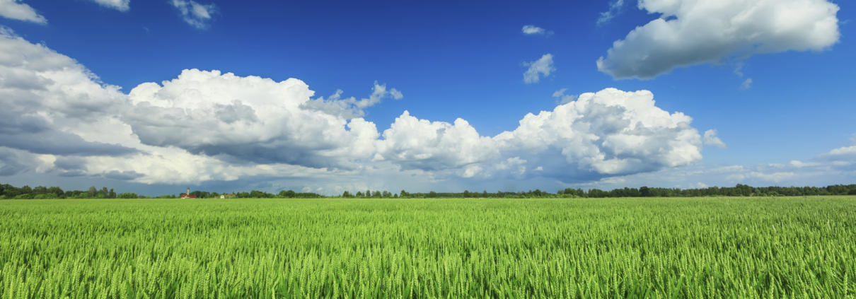 Photo of a green field